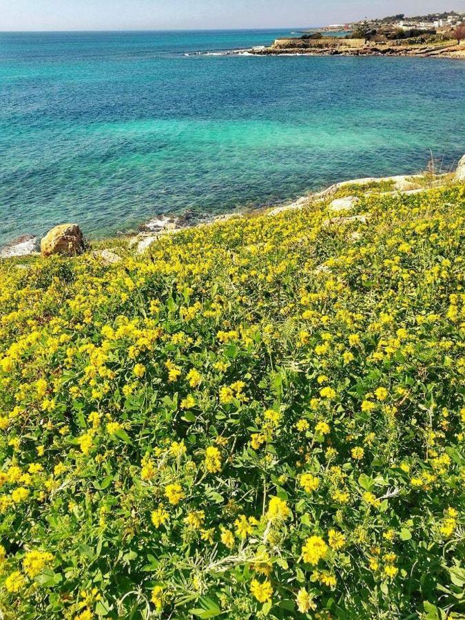 Home Salento 1 Torre Vado Zewnętrze zdjęcie