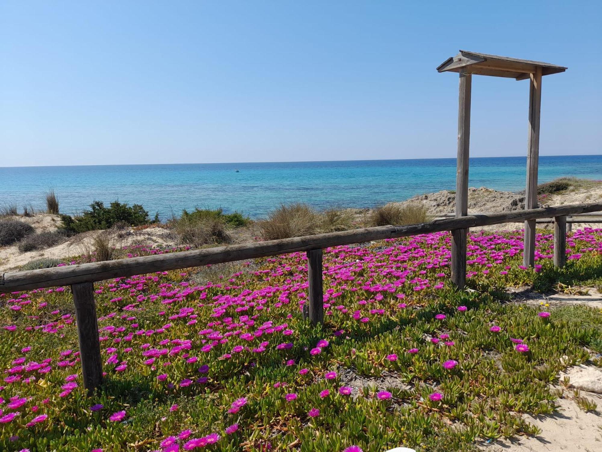 Home Salento 1 Torre Vado Zewnętrze zdjęcie